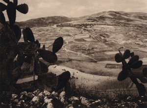 サマリア、ヘロデの競馬場 (白黒写真) 作： Karl Grober