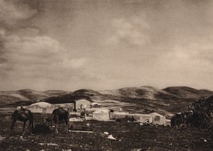 サマリア、ヘロデ王の宮殿の遺跡からの眺め (白黒写真) 作： Karl Grober