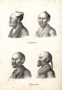 ちょんまげの日本人男性の胸像と、ひげをたくわえた中国人の男性の胸像。 ハインリヒ・ルドルフ・シンツの「人間と動物の図解された自然史」のカール・ヨーゼフ・ブロトマンによるリトグラフ
