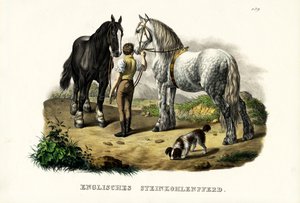 英語のピットホース、1824年 作： Karl Joseph Brodtmann