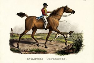 イギリスのレーサー馬、1824年 作： Karl Joseph Brodtmann