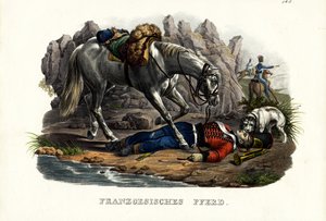フランスの馬、1824 作： Karl Joseph Brodtmann