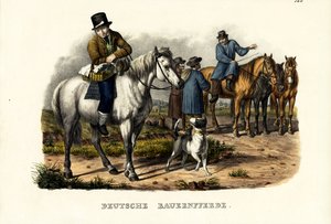 ドイツの農場の馬、1824年 作： Karl Joseph Brodtmann