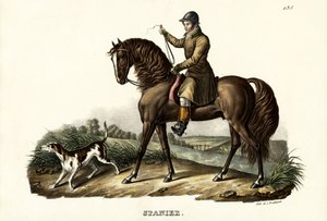 スペインのハンターホース、1824年