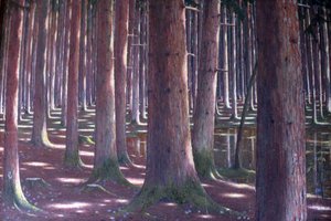 スプルースの森 作： Karl Lambrecht