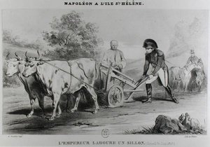 セントヘレナのナポレオン（1769-1821）、フランソワルヴィラン（fl.1819-22）によって彫刻 作： Karl after Loeillot Hartwig