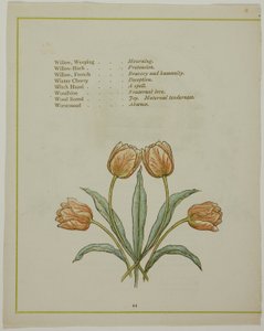 装飾的なイラスト、「照らされた花言葉」より 作： Kate Greenaway
