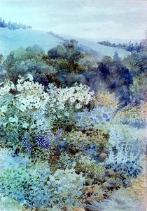 南アフリカの庭で」 1900-10年頃 （水彩画）
