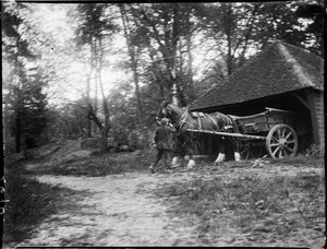 グルームブリッジ、スペルドハースト、ケント州タンブリッジ ウェルズ、1911 年 5 月 20 日 (白黒写真) 作： Katherine Jean Macfee
