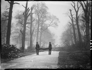 ケンジントン ガーデンズ、ハイド パーク、ウェストミンスター市、ロンドン、1907 年 1 月 26 日 (b/w 写真)