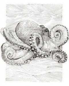  作： 