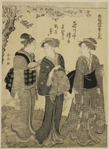 連載「四季合わせ、四季の花」より 春の桜 作： Katsukawa Shuncho