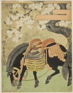 満開の桜の木の下につながれた黒い馬 作： Katsukawa Shunsho