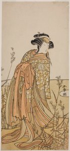 1775 年 11 月に中村座で上演された芝居「花相撲源氏火急」で、多賀袖に扮した鴛鴦（おしどり）の精としての三代目俳優瀬川菊之丞 作： Katsukawa Shunsho