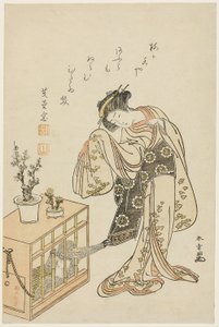 檻の中の猿を連れた若い女（1776年新年のカレンダー版画）