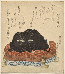 白ヤギと牛をなでる