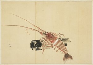 Ebi (Giant Shrimp) 作： Katsushika (school of) Hokusai