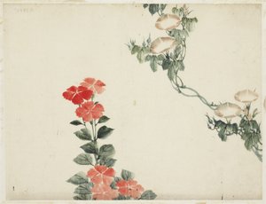 朝顔と赤い花 作： Katsushika (school of) Hokusai