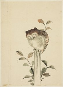 切り株で眠っているフクロウ 作： Katsushika (school of) Hokusai