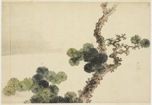 松の枝 作： Katsushika (school of) Hokusai