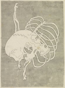 頭蓋骨と胸郭 作： Katsushika Hokusai (possibly)