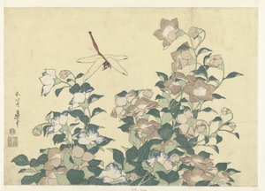 バルーンキキョウとトンボ 作： Katsushika Hokusai