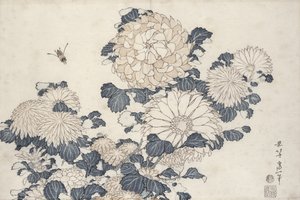 蜂と菊、「ビッグフラワー」シリーズ（木版画カラー）