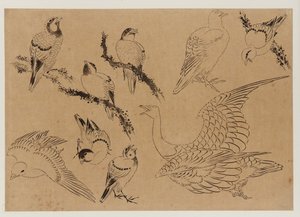 鳥類 江戸時代 18世紀後半～19世紀前半 作： Katsushika Hokusai