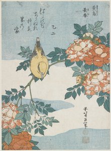 黒ナペードオリオールとチャイナローズ、c。 1833 作： Katsushika Hokusai