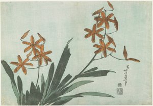 ブラックベリーユリ、c。 1832 作： Katsushika Hokusai