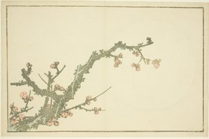 北斎写実画譜 咲き誇る梅 作： Katsushika Hokusai