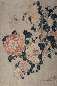 菊（色木版）
