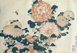 菊（色木版）