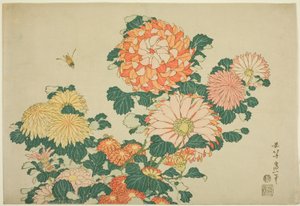 無題の大輪シリーズより 菊と蜂