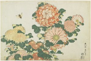 菊とアブ、c。 1832