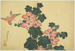 無題の大きな花のシリーズからの綿のバラとスズメ