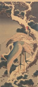 雪に覆われた松の枝のツル、1820 年代後半。 作： Katsushika Hokusai