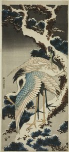 雪に覆われた松のクレーン 作： Katsushika Hokusai