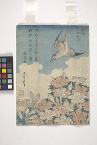 カッコウとツツジ（カラー木版画） 作： Katsushika Hokusai