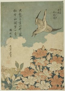 区ｃ子男 案ｄ 字ェアｓ （ホトトギス、 皐月） 作： Katsushika Hokusai