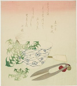 新年のタンポポ