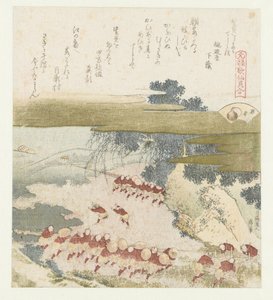 紫色の殻 むらさきがい 元禄歌と貝殻の比較（連載タイトル） 元禄化戦懐合
