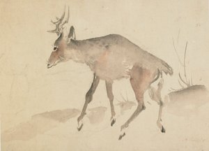 鹿、18 世紀後半から 19 世紀初頭。 作： Katsushika Hokusai