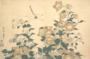 トンボとベルフラワー、1820 年代後半。
