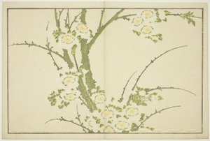 北斎写実画譜』より「花」 1814年頃（カラー木版画（アルバムシート 作： Katsushika Hokusai