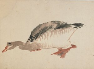 ガチョウ、18 世紀後半から 19 世紀初頭。 作： Katsushika Hokusai