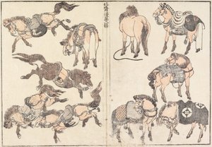 馬