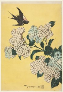 紫陽花とツバメ、無題の大輪シリーズより 作： Katsushika Hokusai