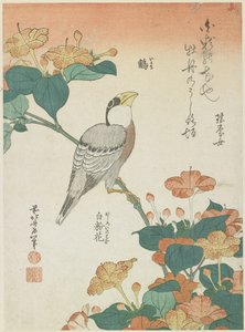 日本のグロビークとフォーオクロク、c。 1833 作： Katsushika Hokusai