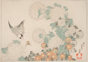聞く に 分著 に クマバチ